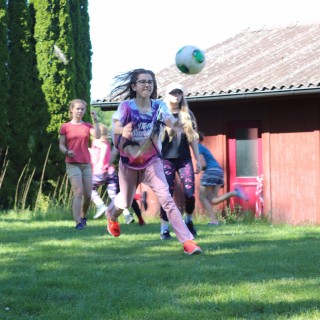 2319e150e4ae50a48aea71f9f8879963