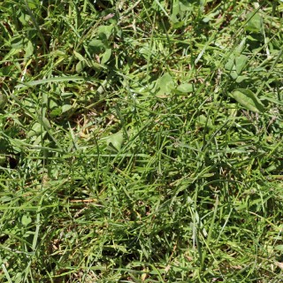 2646b65afa69fa8eb6361033278948bf