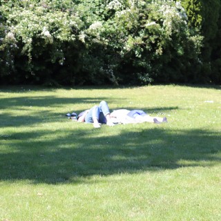 39754e4c013879d197d1289f3e51d517