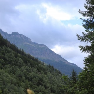 3d13ae8dd050c7e153f103d352f9859d