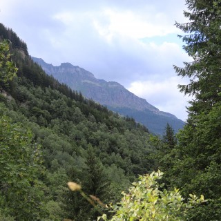 6384f0820521672bbdf1741a5b79d137