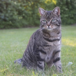 653611c86407c45f42d2824eaf5da072