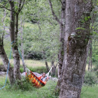 6ecd9194146771c83efab49f1e37ab5f