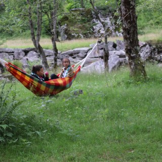 743e2974ade8956bca9a960e9bb9389a