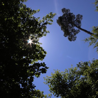 7899a58259becb477dd63f095bd51c34