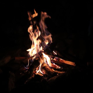 78c24152aeadc6319a90fb4891cdba77