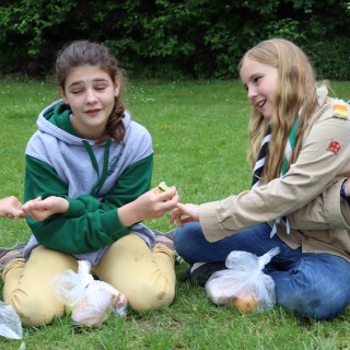 7de8adb659a5e5ef5812d581f3720b6e