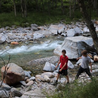 828a6f03c1cf8be027c3193593cf9ed0