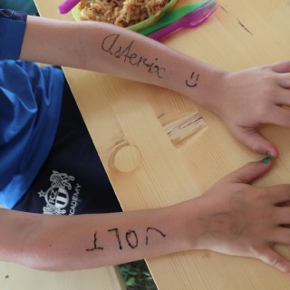 8e63cce2853e35eafde97bce5dd2ef2c