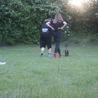 8f8d354b646c423acd119e148fd32b1a