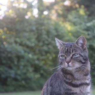 a203f26a4780c79894620feb2e32a038