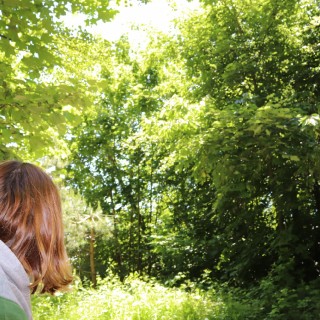 b27c4c141b2e21ef2c801f49a0dc041c