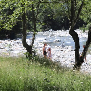 d661374b5376c15a4a5d468ad9b533ff