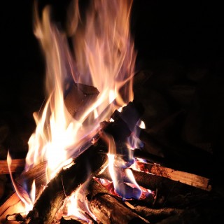 d8c171db908c67544c6da9a2e01353f1