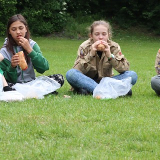 e1efe62fe509215d4962e5d0ea29d545