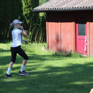 e8081f835898ee2011ee80a37fba7048