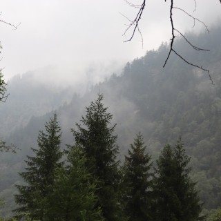 0068fd8ccf42c5328086c5883a24b7ea