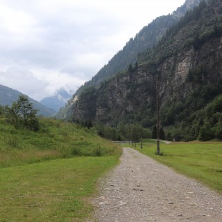 026cd16ee858c8a2322655edf0c72012