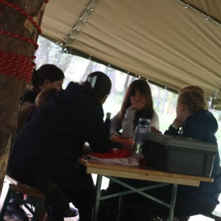 0910c56472c98c2ea90d43b558d10c22