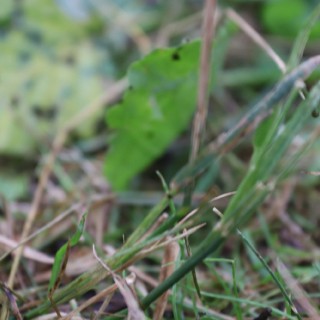 0ab9ab6533f1744696ec03e509beed78