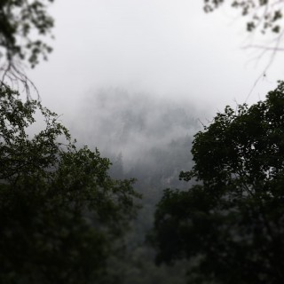 1e0a0be8fb0bbbed934fb7688e436ebb