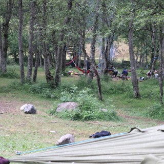 265383dbc8c976cf947c64f24cded3d0