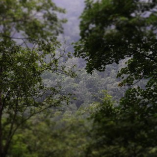 2660c2bbd722f091bd8c5e74fec1d710