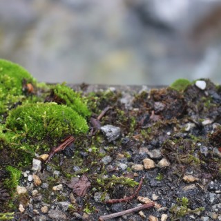 268cb73eec87273e4f0283baec41cfc1