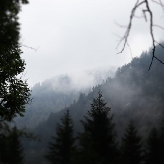 32e5e385a612c2b153334c765a92a7cf