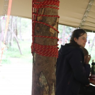 3b15f02b21c7c20f500f2856ab07f095