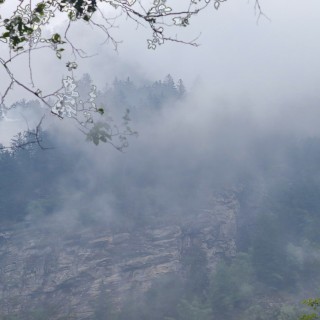 4750e749f507be569055e22eb76b23ce