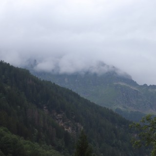 503c87d3866010794dcbb1f0ae7d320c