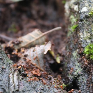 6a7d3ed4ccc3821f5a161709b26fbd73