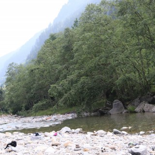 6d5479c764a3d9e702932ea5b7997e7a