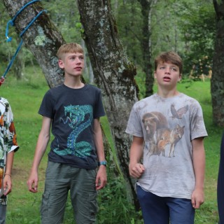 736fc1f3429bdbbc1814c12f7008c0d5