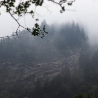 751b44a7c3c54c591c1dd98f646175db