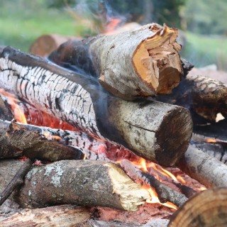 7fccc6a8cac3a7dd89cb74c60c127582