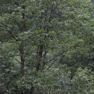 815859940d05818340cfba5c6553df80