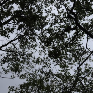 8cda306d84b48af030892c7a3e6a7562