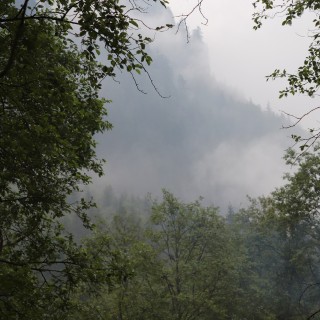 95068caa6e9dfd92e908a0856f8327d6