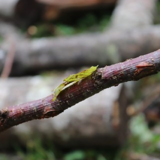 960efb2c3ab6ae410898e7b2d1b68b46