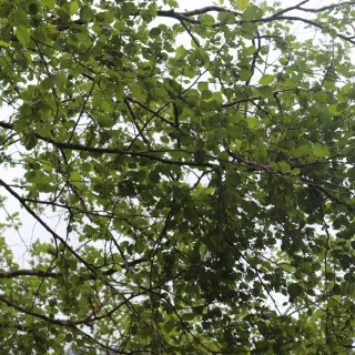 b7467ea1cab3d73c19f8ce3b9696c058