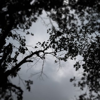 cf23d56610bf920af9f6037ba0d623e4