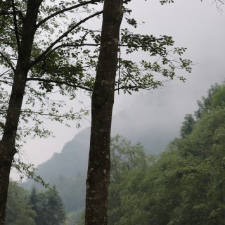 d4f96874b9768ba2fe0cd2cfda58c668