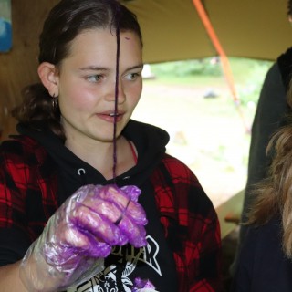 df3866d2dce4890a98082125419fb6f2