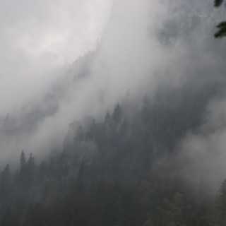 eec7455fe21a5202876ef9a47d1f8299