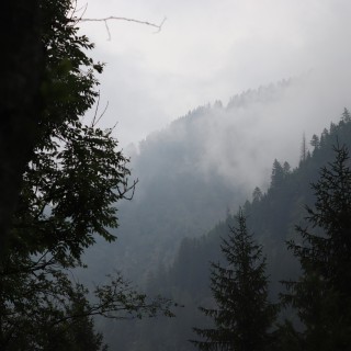 f2eb4dc701469ec74f6aa150bc4a2264