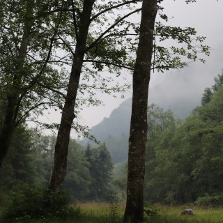 f33f35fb215a0d956aceea762e2884cd