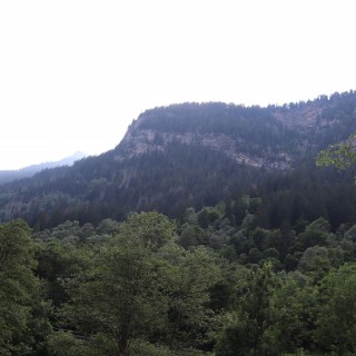 f5368989929eada15b4542c12c6e2909