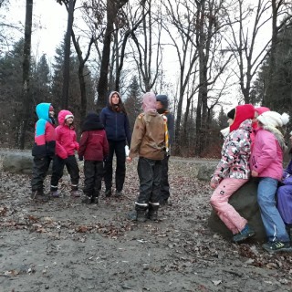 932774eb57338e4aac9f1a26f2d84292